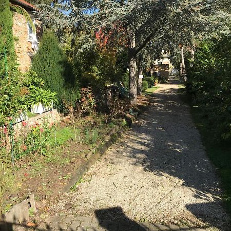 Appartement Fond De Jardin 1 Etage 팔레조 외부 사진
